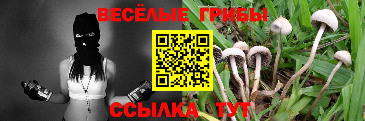 Псилоцибиновые грибы MAGIC MUSHROOMS Менделеевск